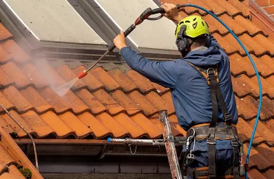 Démoussage et hydrofuge de toiture à Alboussière